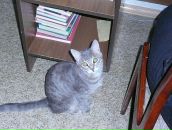 Вера Петровец фотография #37 (источник - https://vk.com/id36439799)