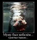 Міша Божан фотография #5 (источник - https://vk.com/id31850740)