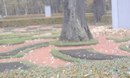 Виталий Дейнеко фотография #44 (источник - https://vk.com/id96608343)