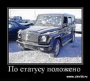 Наглый :-) фотография #1