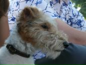 Тетяна Єськова фотография #33 (источник - https://vk.com/id2347817)