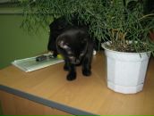 Анна Евстратова фотография #22 (источник - https://vk.com/id1560898)