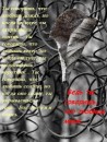 Натуська Білокур фотография #30 (источник - https://vk.com/id58570712)