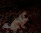 Люда Мелюк фотография #1