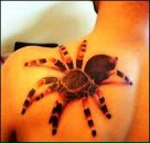 Фотография Смольниковой Марии