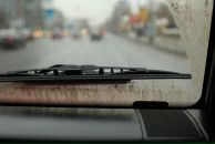 Фотография Гущина Саши