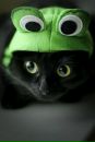 Роман Гомес фотография #13 (источник - https://vk.com/id90557456)