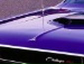 Nazar Чіх фотография #29 (источник - https://vk.com/id20384792)