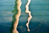 Фотография Орленевой Светланы