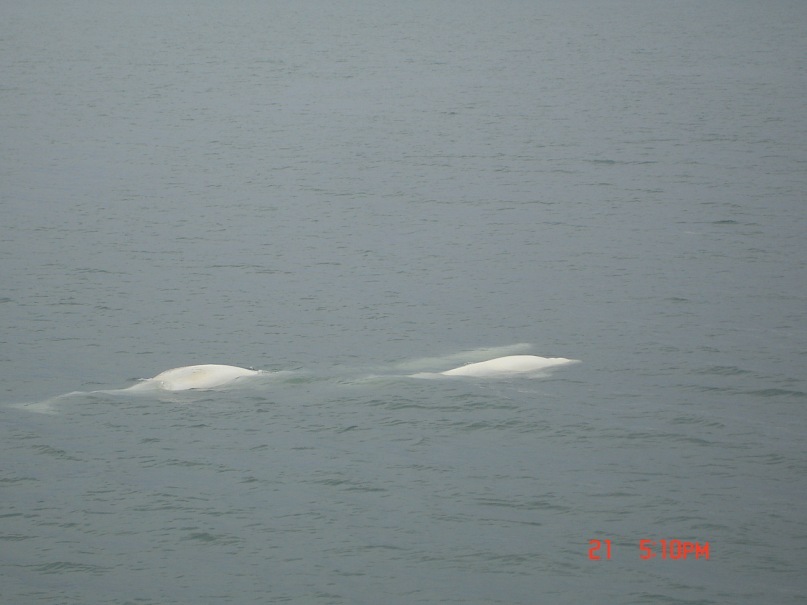 Иван Степаненко фотография #48