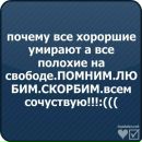 Софія Жук фотография #19 (источник - https://vk.com/id116044644)