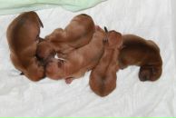 Фотография Козицыной Ольги