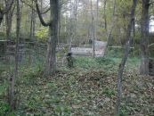 Леді Вікторія фотография #32 (источник - https://vk.com/id104307415)