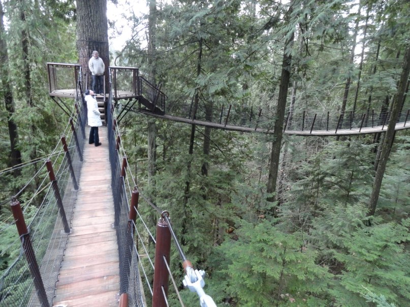 Ольга Малышева фотография #47