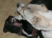 Фотография Луча Айнура