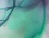 Валерий Караваев фотография #46 (источник - https://vk.com/id4304101)