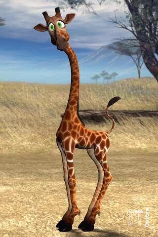 №14, Виталий Бачурин №14, Виталий Бачурин