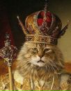 Фотография Петр Каценбоген