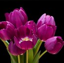 Юрій Гнатенко фотография #40 (источник - https://vk.com/id157707344)