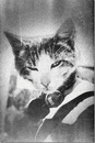 Фотография Koxa Кости