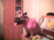 Фотография Шульгина Ильи