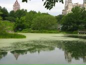 Ольга Біткіна фотография #41 (источник - https://vk.com/id78963361)